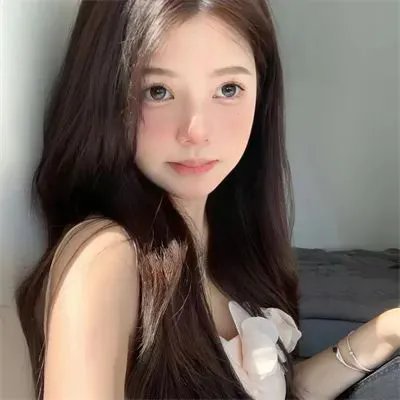 宫廷画师郎世宁