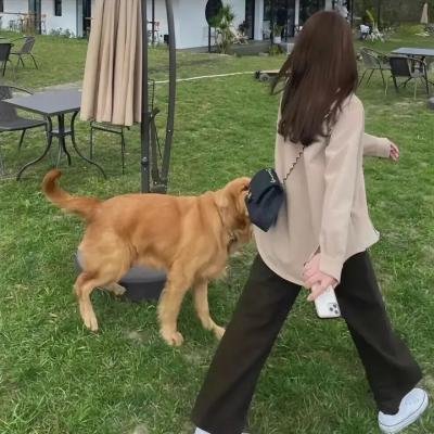 等待飞鱼